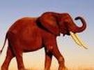 PosgreSQL Server